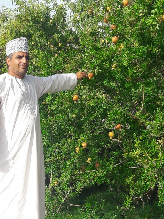 Abu Omair Jabal Shams House Al Hamra Exterior foto