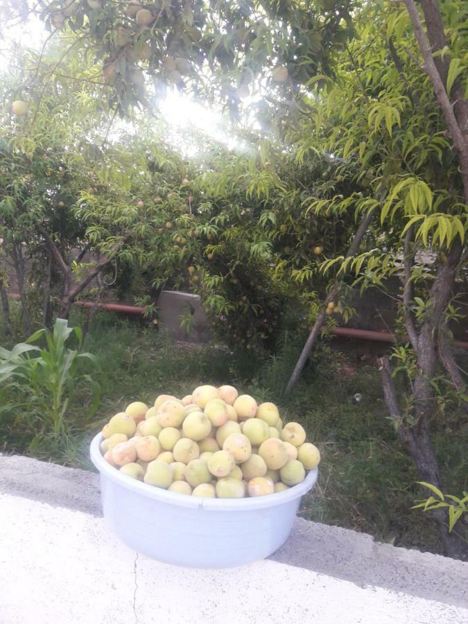 Abu Omair Jabal Shams House Al Hamra Exterior foto